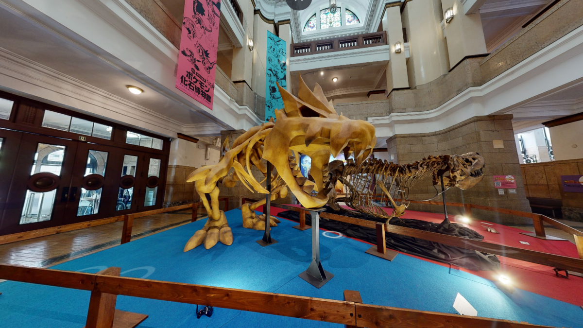 The Pokémon Fossil Museum Is Bringing Real and Fake Pokémon Fossils to the U.S. Next Year